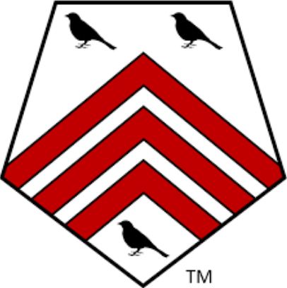 SingTone Technologies